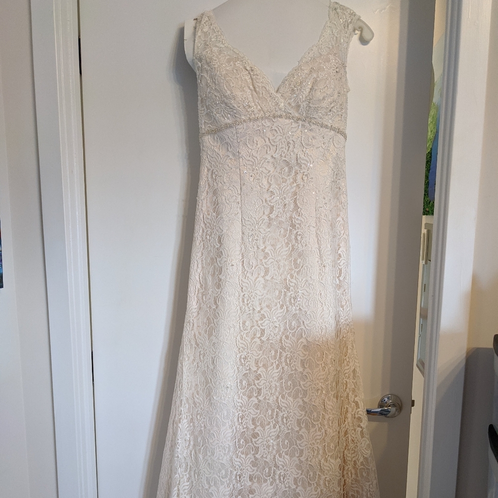 David's Bridal beaded lace trumpet wedding dress